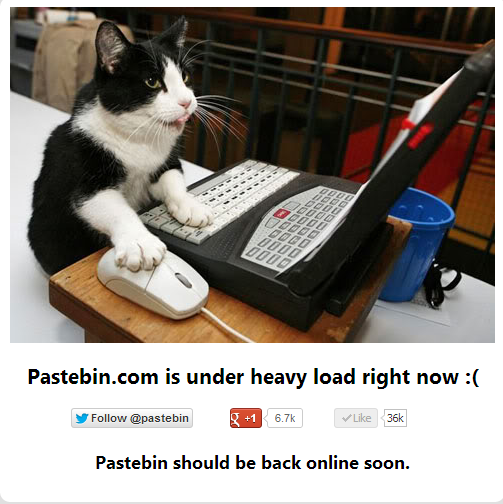 2013-07-10 01_58_37-Pastebin.com - Heavy Load Warning