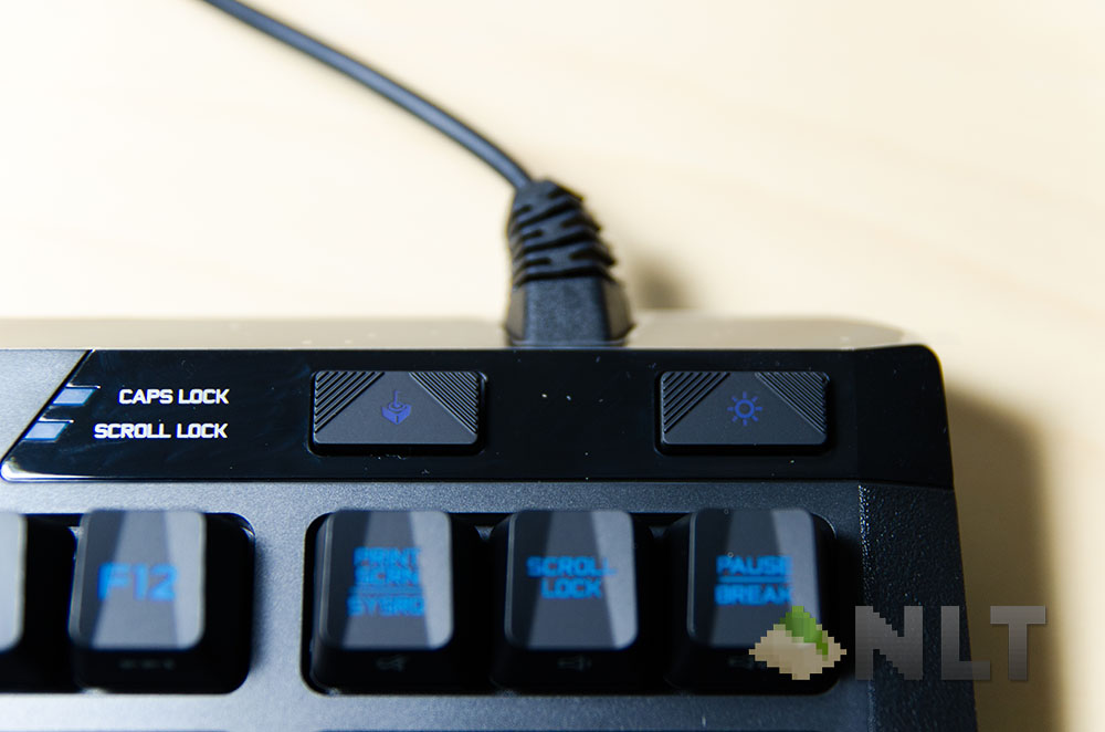 g310 atlas dawn (10)