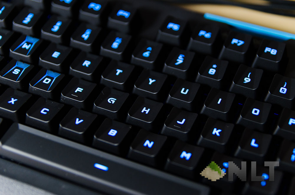 g310 atlas dawn (17)