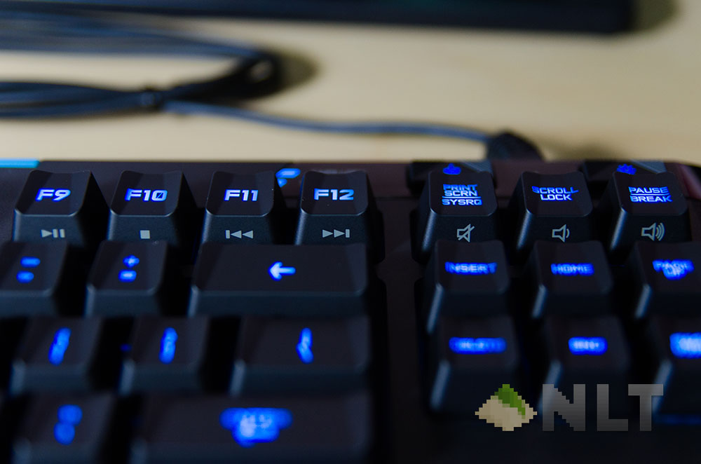 g310 atlas dawn (23)