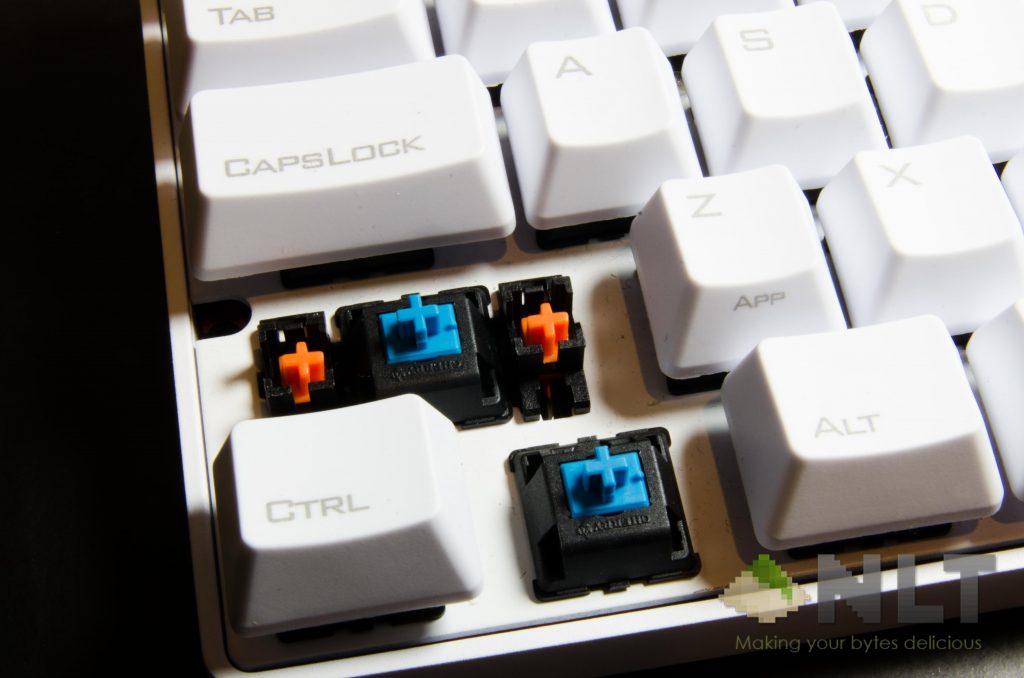 POK3R (8)