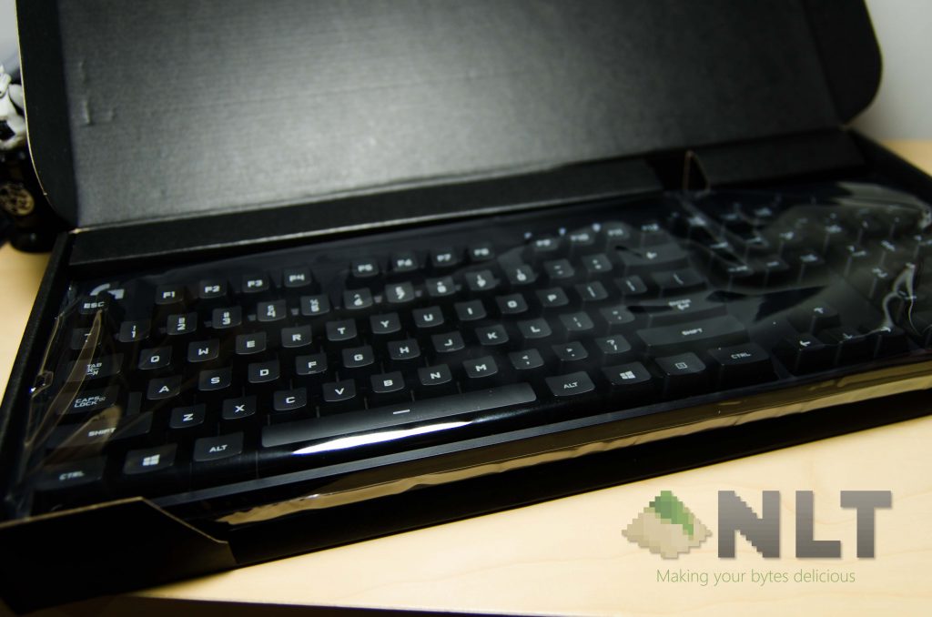 G810 Orion Spectrum (23)