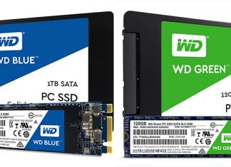 WD SSD Introduced – WD Blue & WD Green