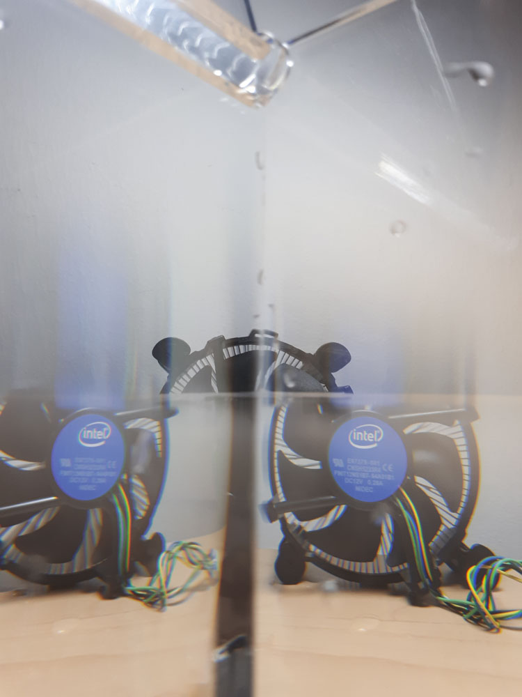 Underwater Photography with Samsung Galaxy A7 (2022)