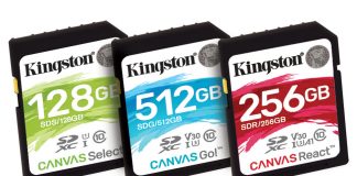 Kingston Canvas SD Card