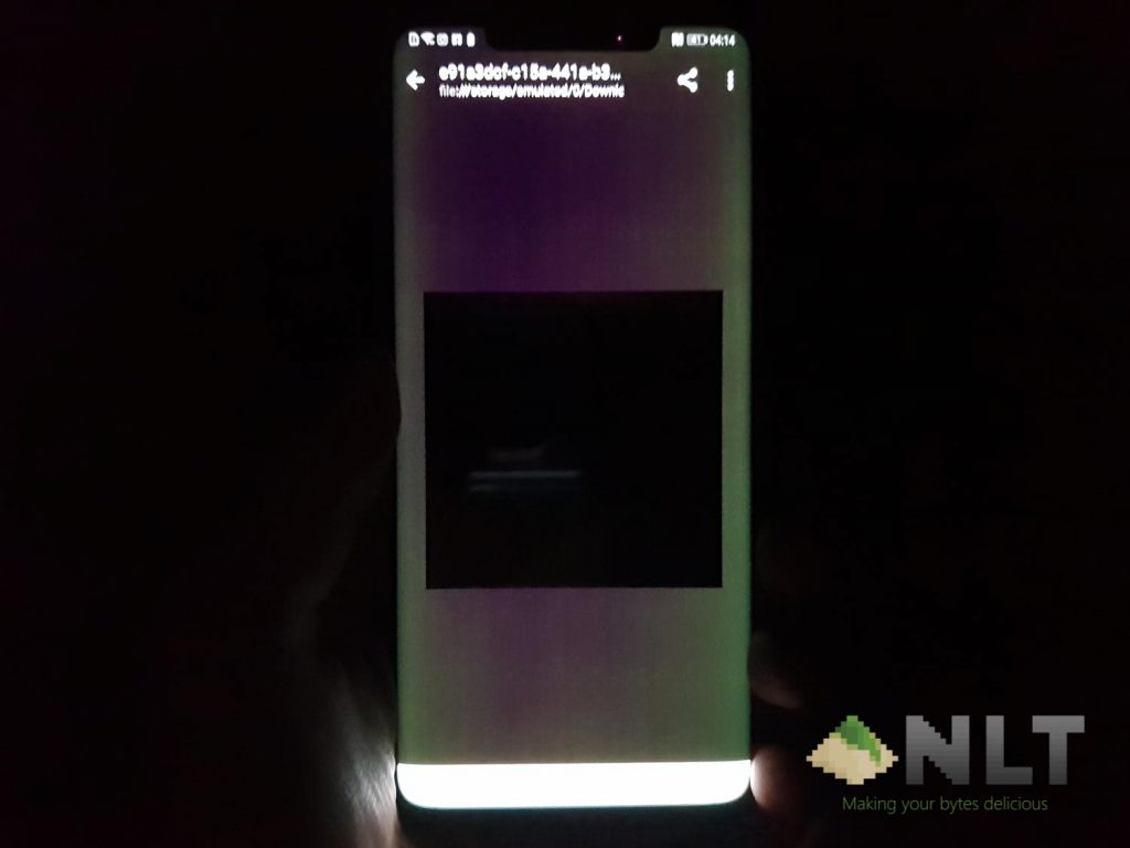 Huawei Mate 20 Pro green screen