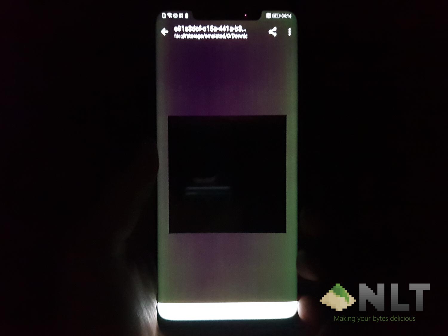 Huawei Mate 20 Pro green screen