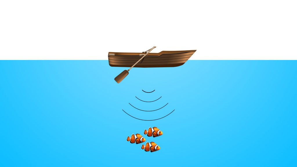 fish detection mechanism