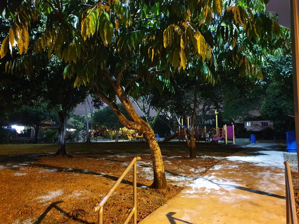 Samsung Galaxy S10+ camera sample