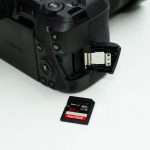 Impressions - Canon EOS R Mirrorless Full-Frame Camera 6