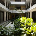 Impressions - Canon EOS R Mirrorless Full-Frame Camera 19