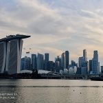Xiaomi Mi 9T Billy Cane picture