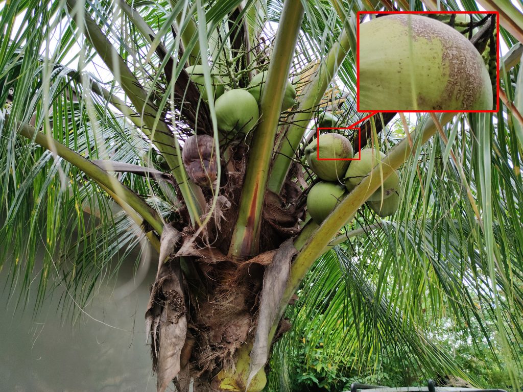 Xiaomi Mi Note 10 sample 2