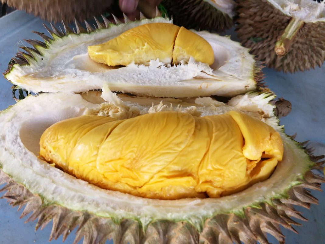 Durian_e-Commerce_Featured Durian traders joins the e-Commerce platform