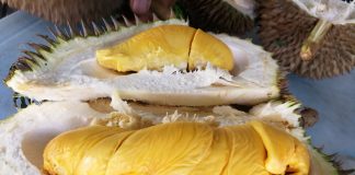 Durian traders joins the e-Commerce platform