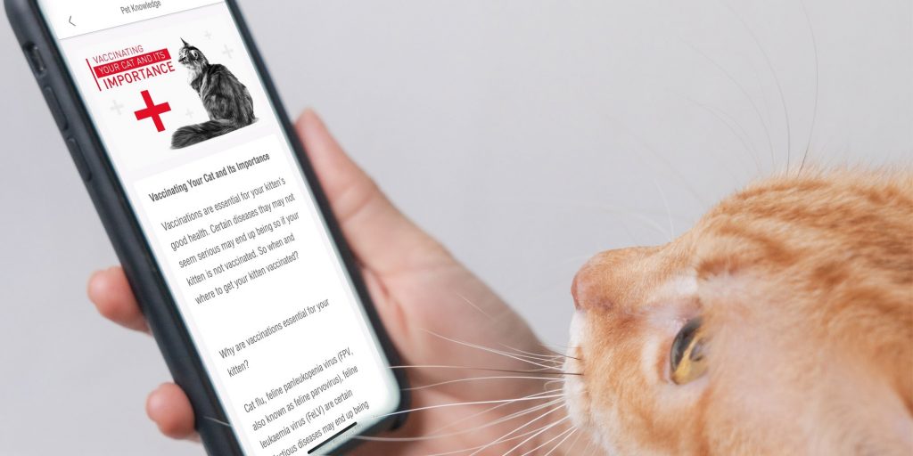 Royal Canin Club Featured