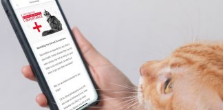 Royal Canin Club Featured
