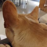 Redmi Note 10 5G pictures
