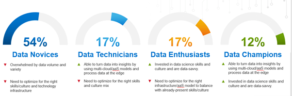 Dell Technologies Data Burden Research