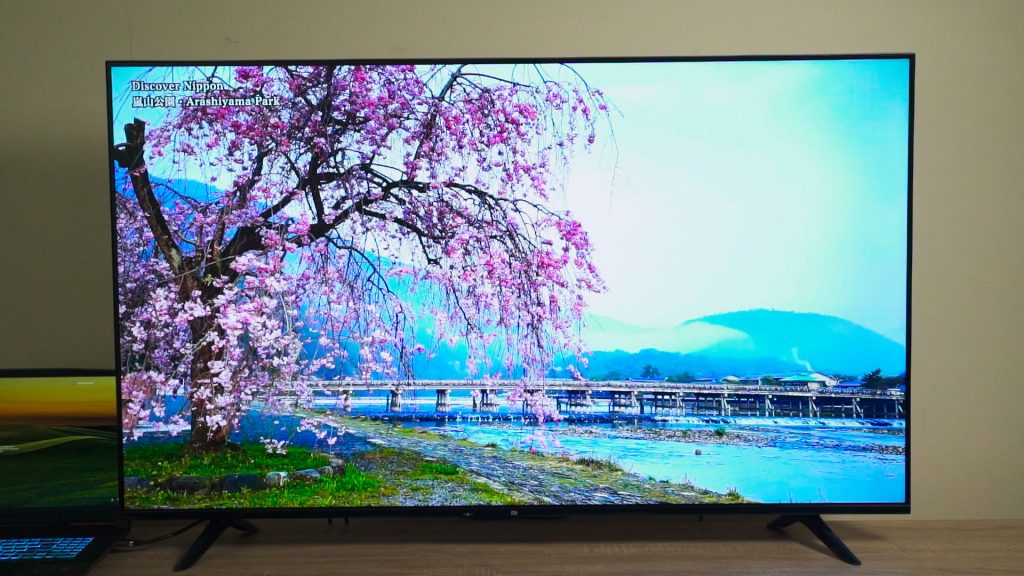 Xiaomi Mi TV P1 55