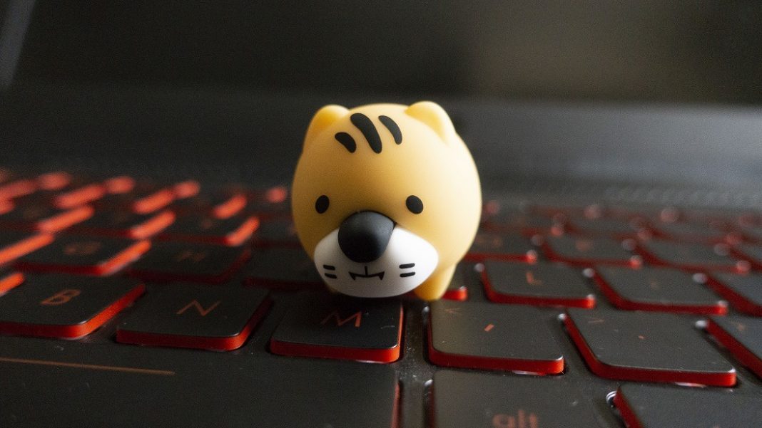 Kingston 2022 Mini Tiger USB Flash Drive_26