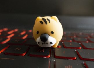 Kingston 2022 Mini Tiger USB Flash Drive_26