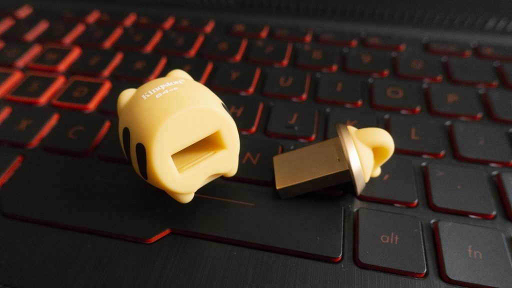 Kingston 2022 Mini Tiger USB Flash Drive_34