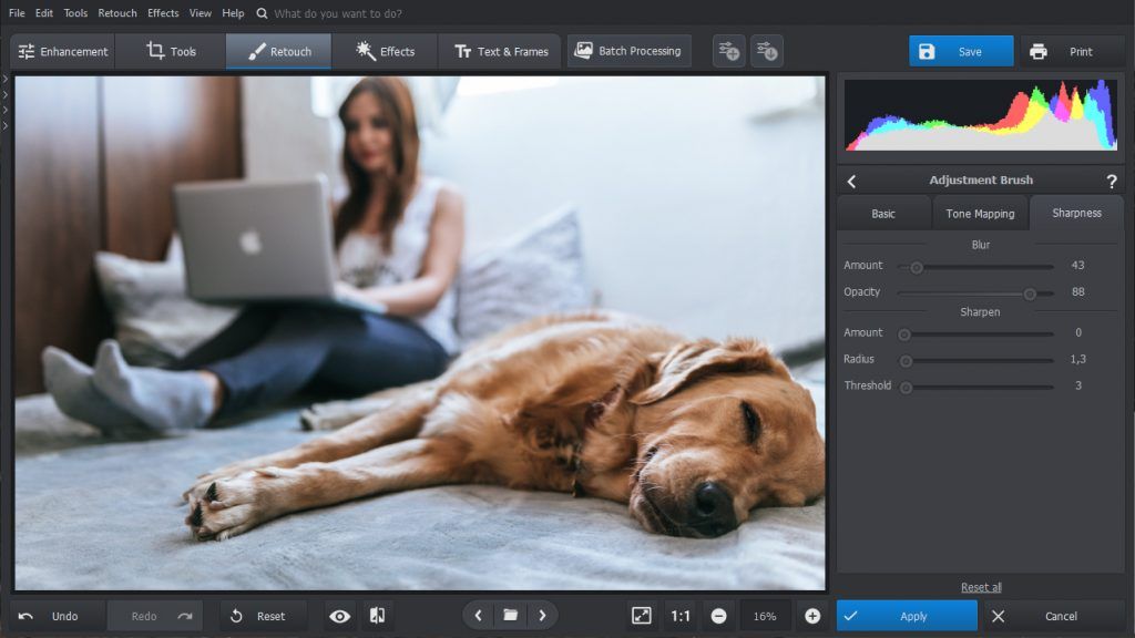 How to Blur Image Parts – 4 Easy Ways 10
