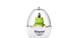 Kingston Mini Dragon USB 02