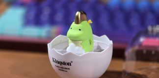 Kingston Year of the Dragon