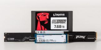 Kingston Technology SSD Market Share 2023 No.1