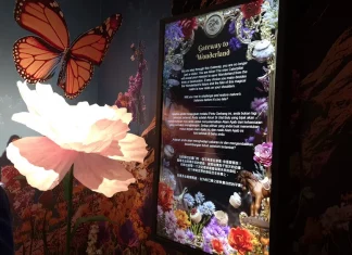 Alice Saves Wonderland Expo 1