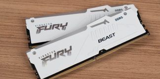 Kingston-Fury-Beast-D5-03