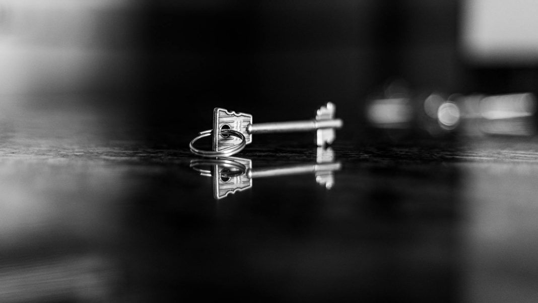 elegant black and white key reflection art
