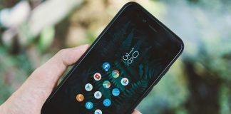 person holding black android smartphone with black case