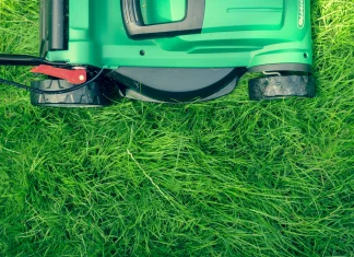 Gas or Battery Lawn Mower: Which One Actually Fits Your Yard?