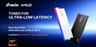 BIWIN Black Opal DW100 DDR5-6000 CL28 gets AMD EXPO ULL certification