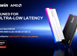 BIWIN Black Opal DW100 DDR5-6000 CL28 gets AMD EXPO ULL certification